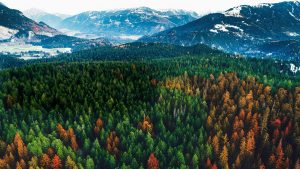 04_LK62_A_Quad_Core_Processor_desktop