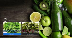 ph-feature-food-showcase-rh58k6467sl-rh58k6467sl-tc-58316502