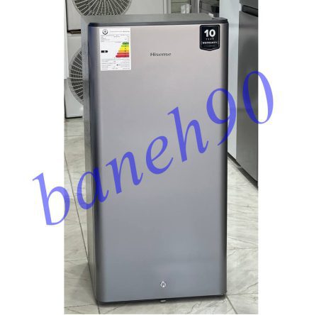 یخچال فریزر 10 فوت هایسنس مدل RR198N4ASU - تصویر 9
