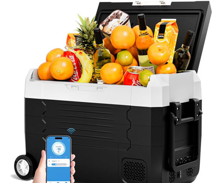 یخچال مسافرتی